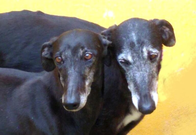 multimedia-foto63507-613-1