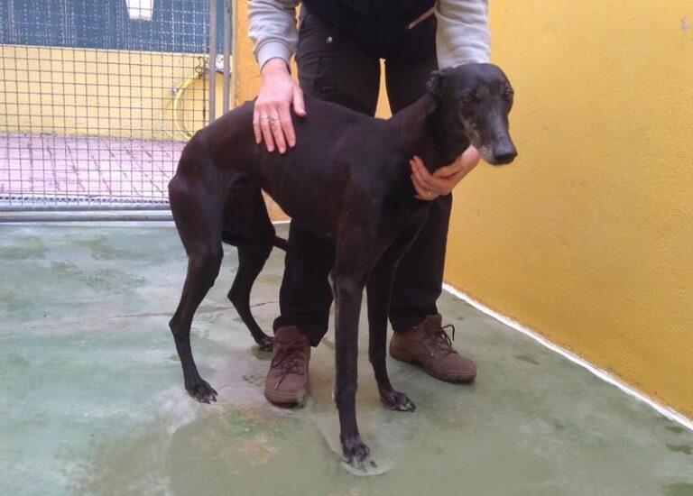 multimedia-foto63508-613-1