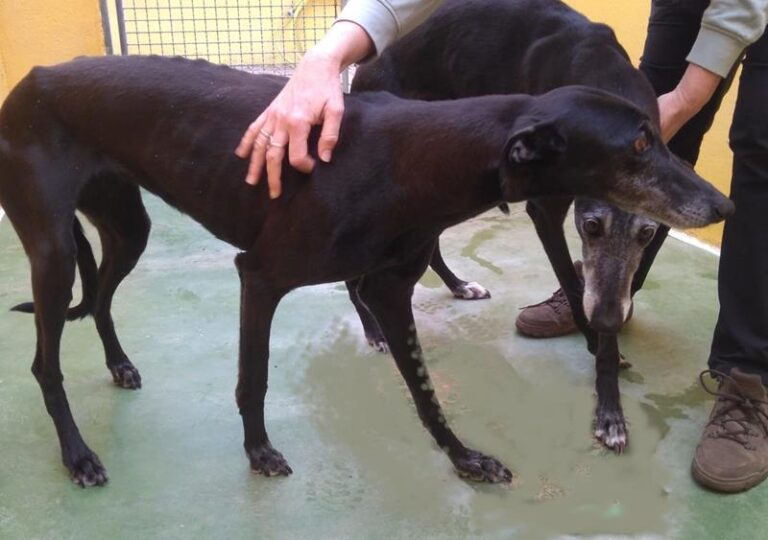 multimedia-foto63509-613-1