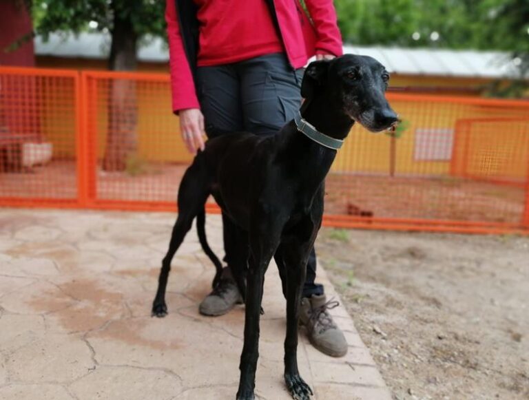 multimedia-foto63510-614-1