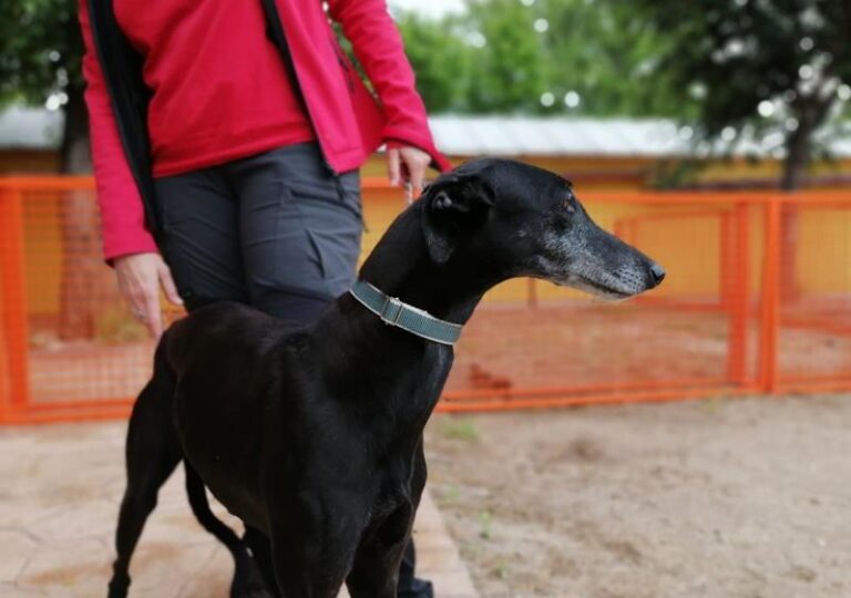 multimedia-foto63511-614-1