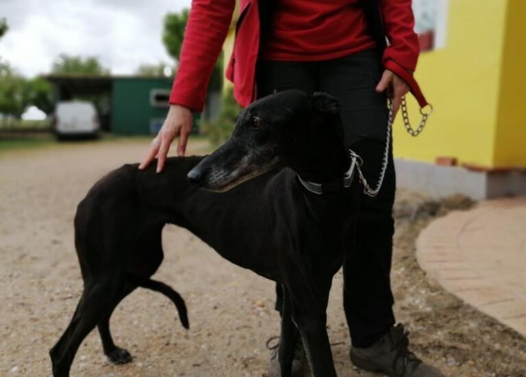 multimedia-foto63512-614-1