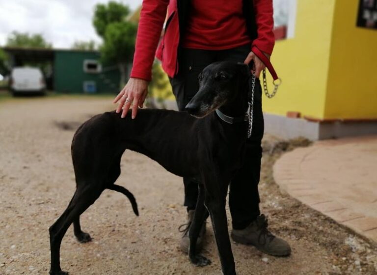 multimedia-foto63513-615-1