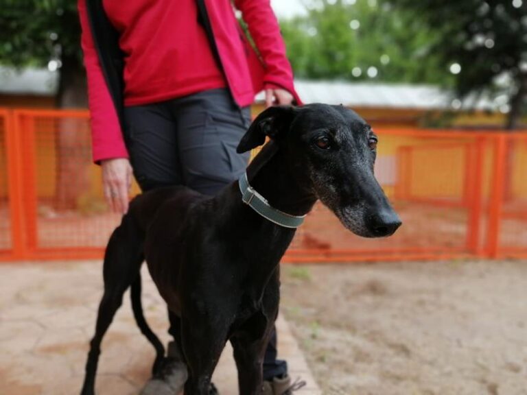 multimedia-foto63514-615-1