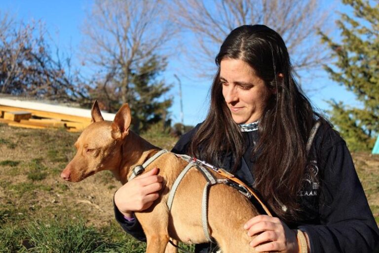 multimedia-foto63517-332-1