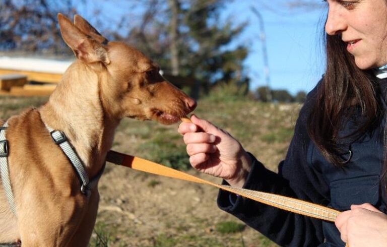 multimedia-foto63518-332-1