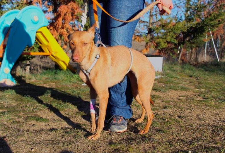 multimedia-foto63519-333-1