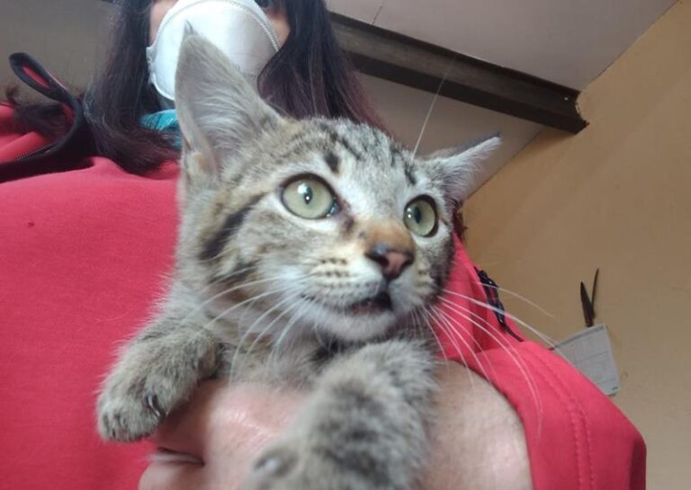 multimedia-foto63546-191-1