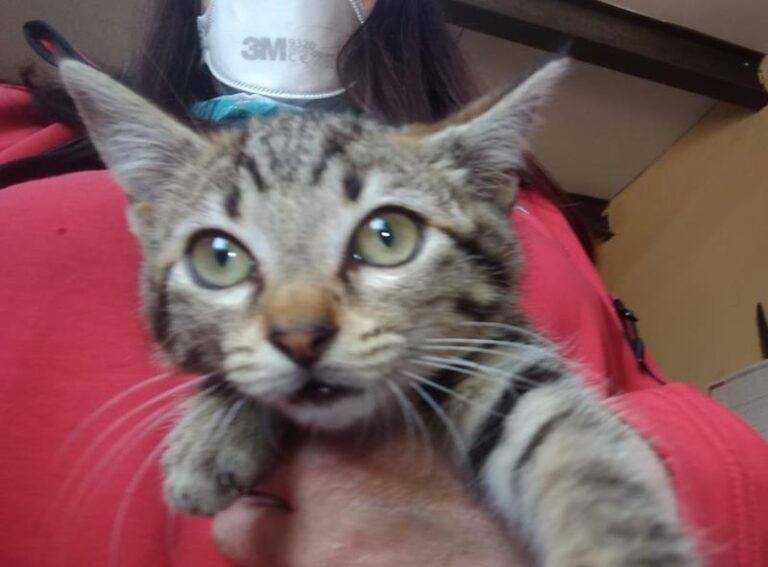 multimedia-foto63547-192-1