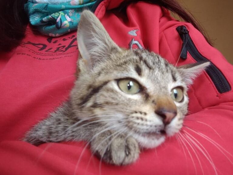 multimedia-foto63548-192-1