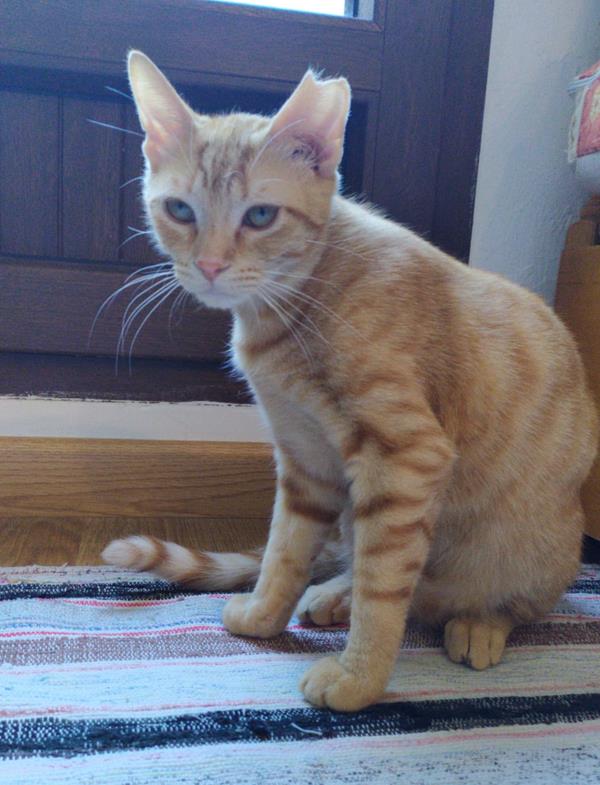 multimedia-foto63599-921-1