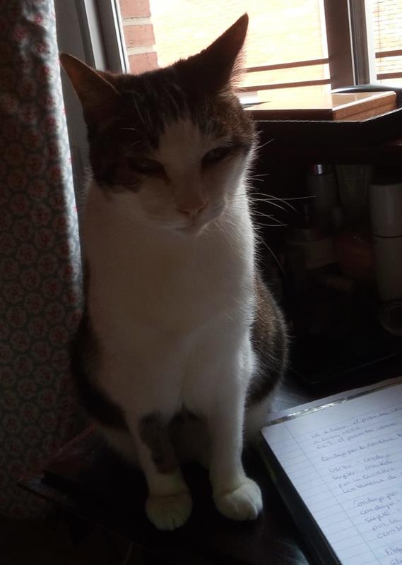 multimedia-foto63623-315-1