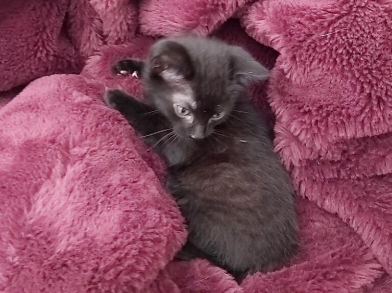 multimedia-foto63653-912-1