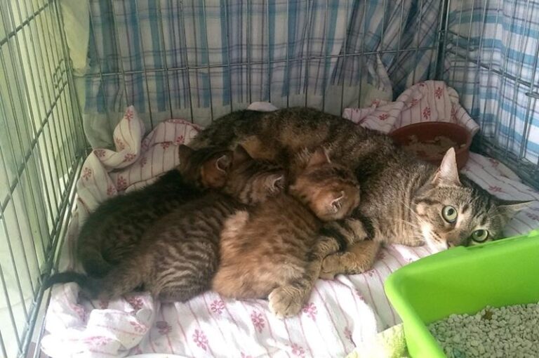 multimedia-foto63701-442-1