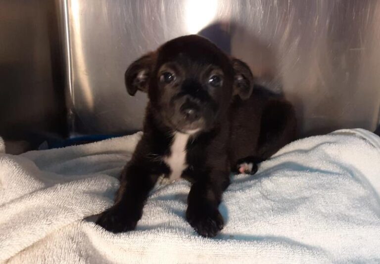 multimedia-foto63732-795-1