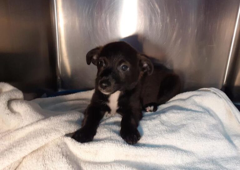 multimedia-foto63733-796-1