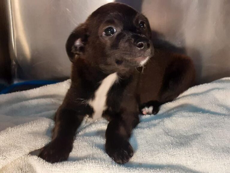 multimedia-foto63734-796-1