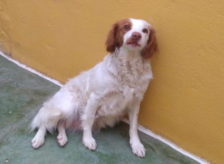 multimedia-foto63735-399-1