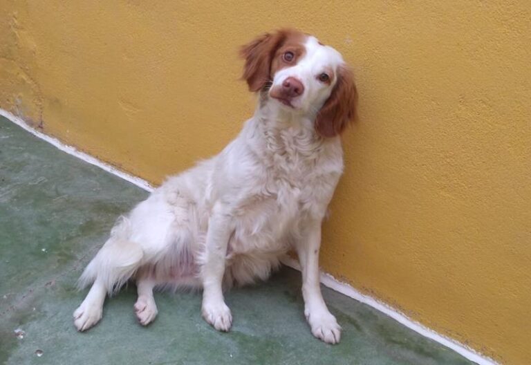 multimedia-foto63736-399-1