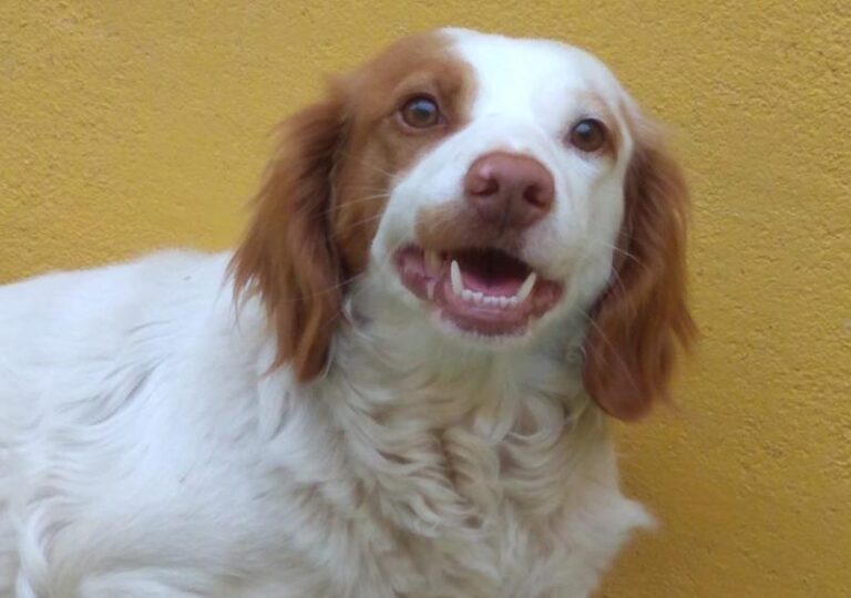 multimedia-foto63737-400-1