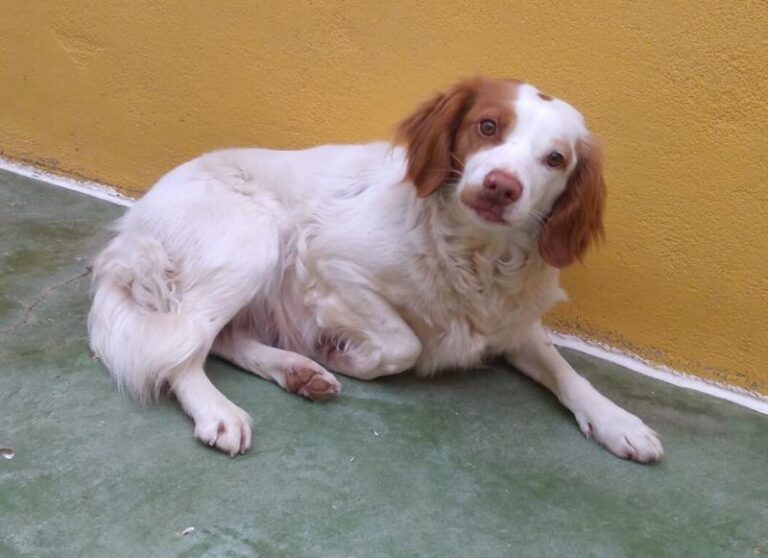 multimedia-foto63738-400-1