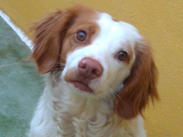 multimedia-foto63739-400-1