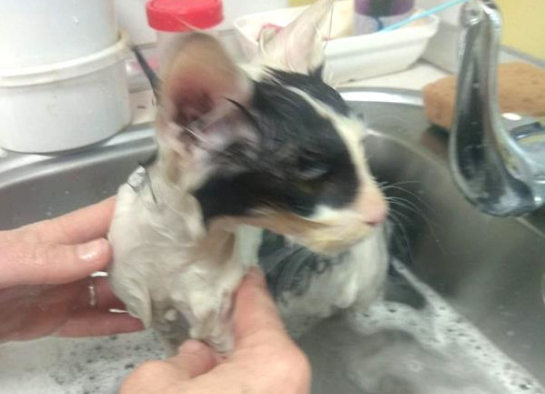 multimedia-foto63741-934-1