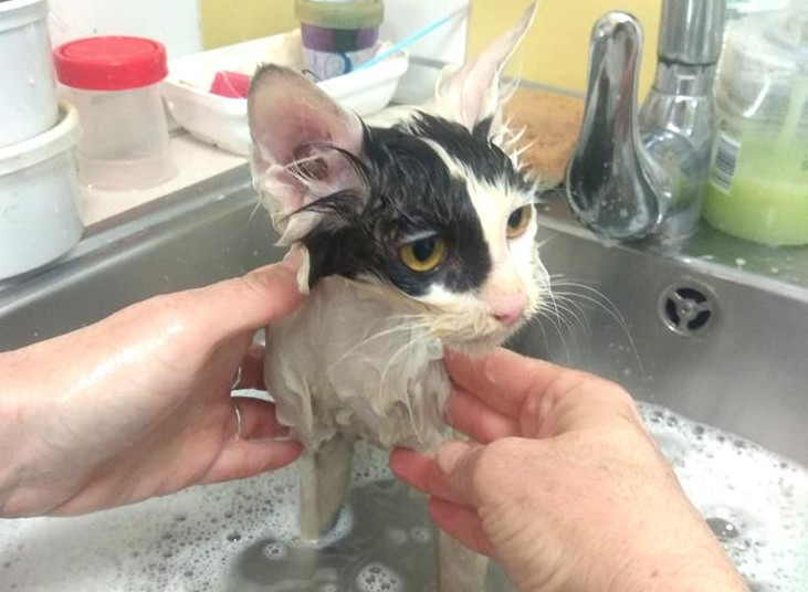 multimedia-foto63742-934-1