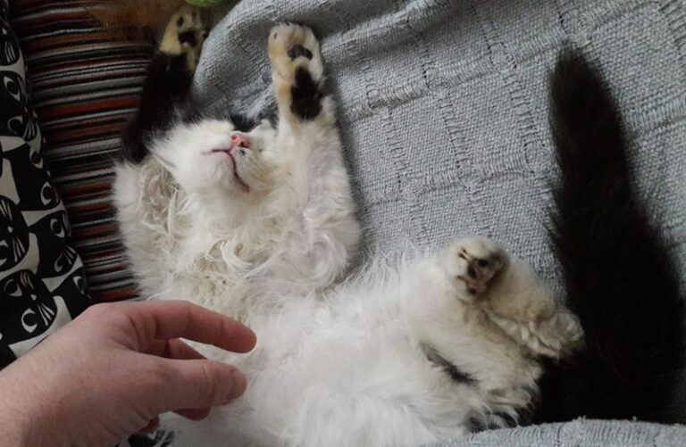 multimedia-foto63743-934-1