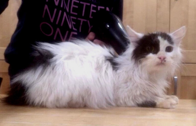 multimedia-foto63744-934-1