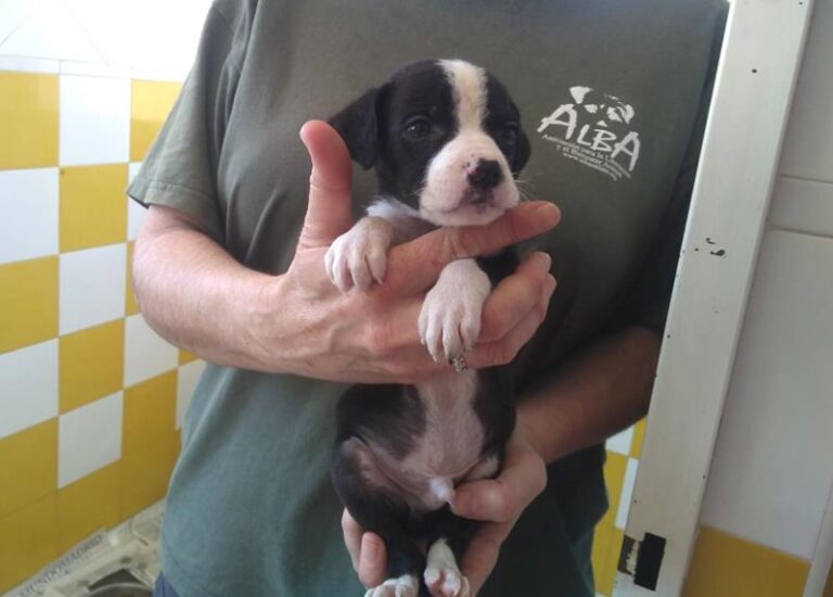 multimedia-foto63844-390-1