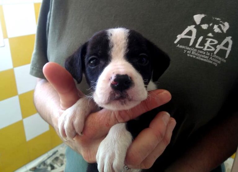 multimedia-foto63845-391-1