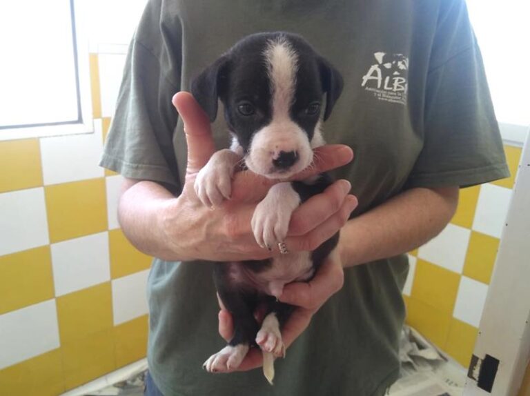 multimedia-foto63846-391-1