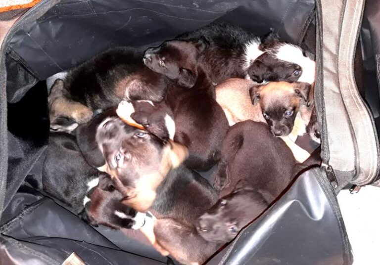 multimedia-foto63859-682-1