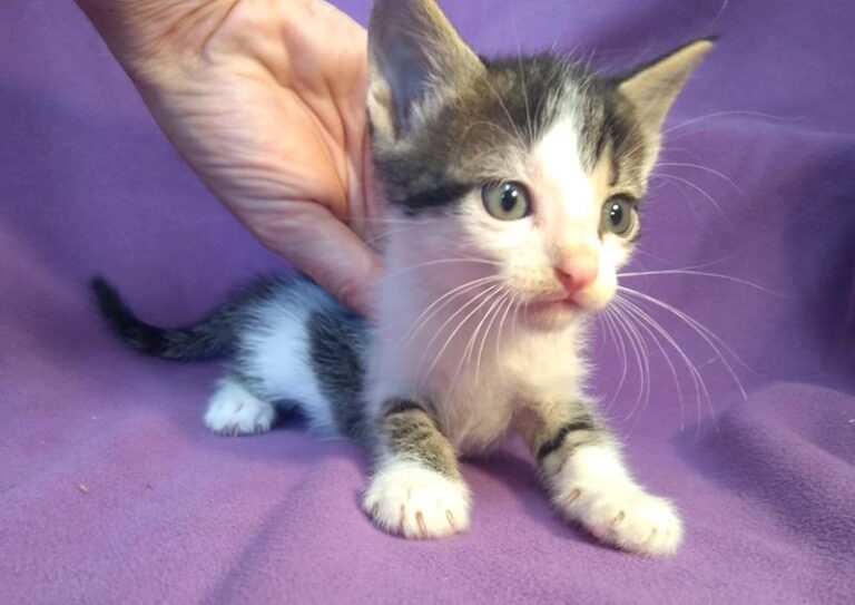 multimedia-foto63891-150-1