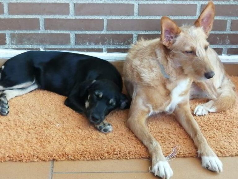 multimedia-foto63961-44-1