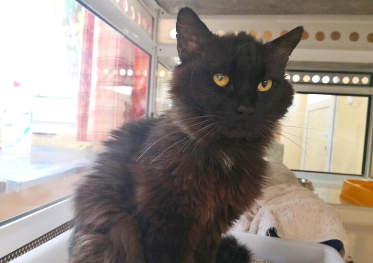 multimedia-foto63966-559-1