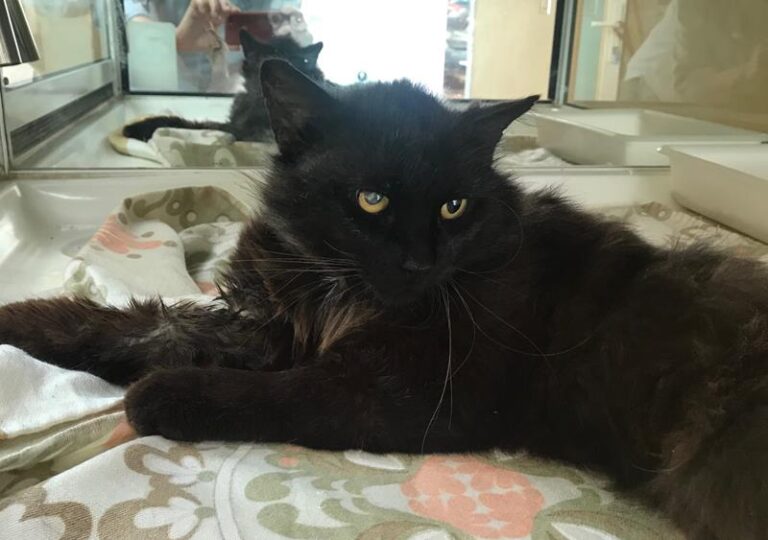 multimedia-foto63967-559-1