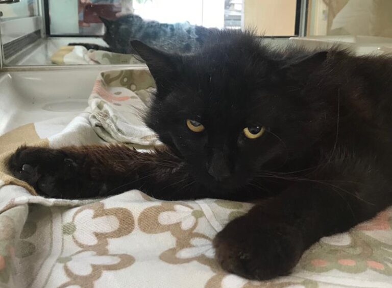 multimedia-foto63968-560-1