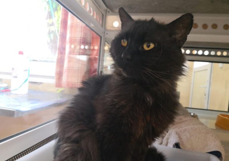 multimedia-foto63970-579-1