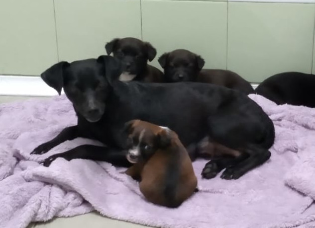 multimedia-foto63972-612-1