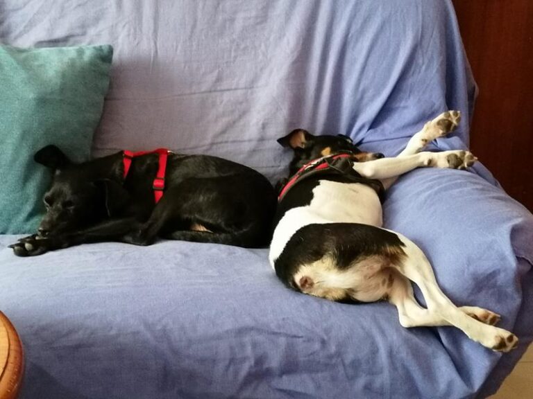 multimedia-foto63973-613-1