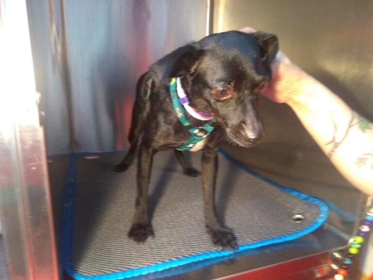 multimedia-foto63974-613-1