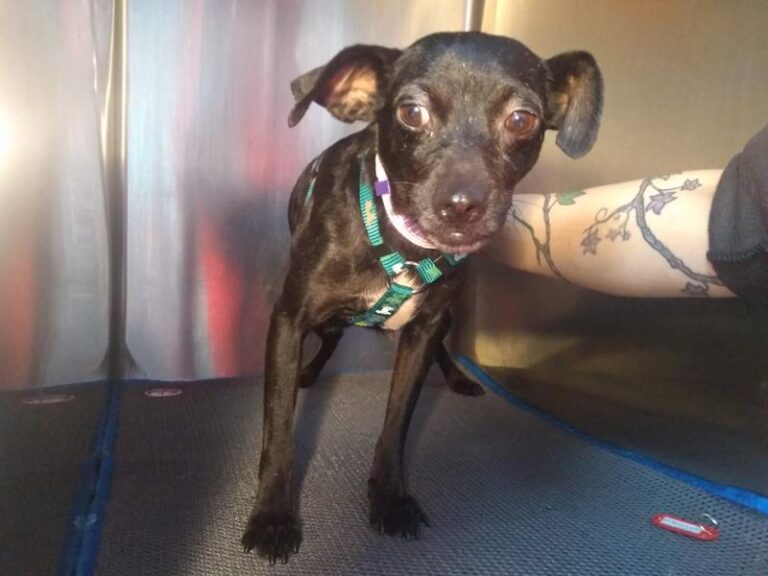 multimedia-foto63975-613-1