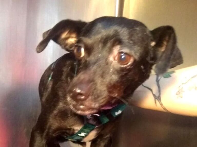 multimedia-foto63976-614-1