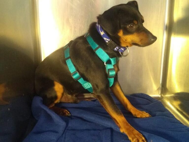 multimedia-foto63984-845-1