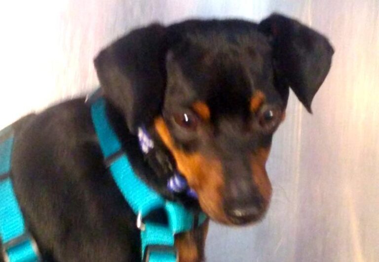 multimedia-foto63985-845-1