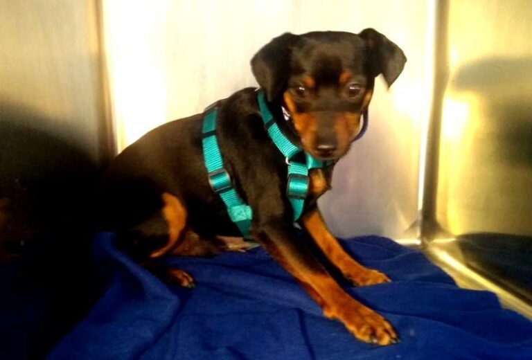 multimedia-foto63986-846-1