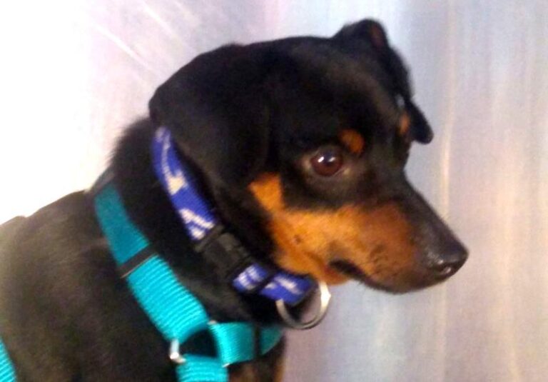 multimedia-foto63987-846-1