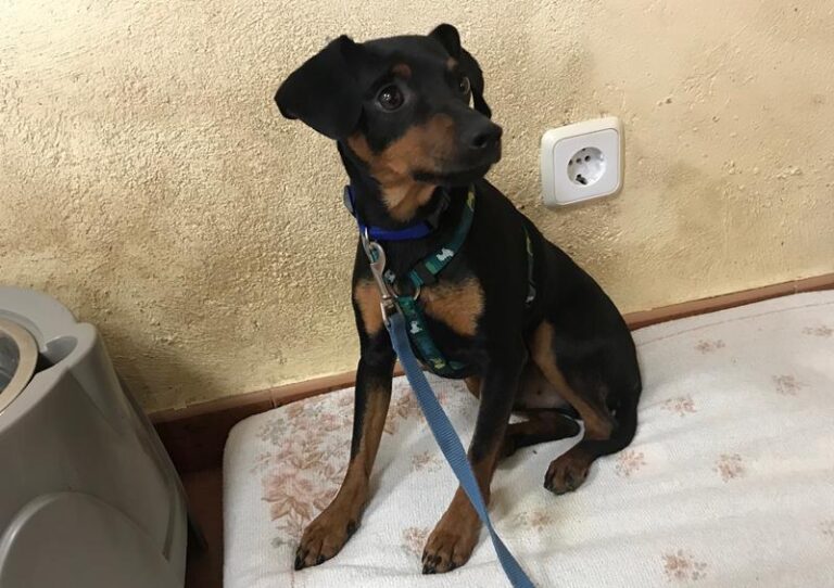 multimedia-foto64000-399-1